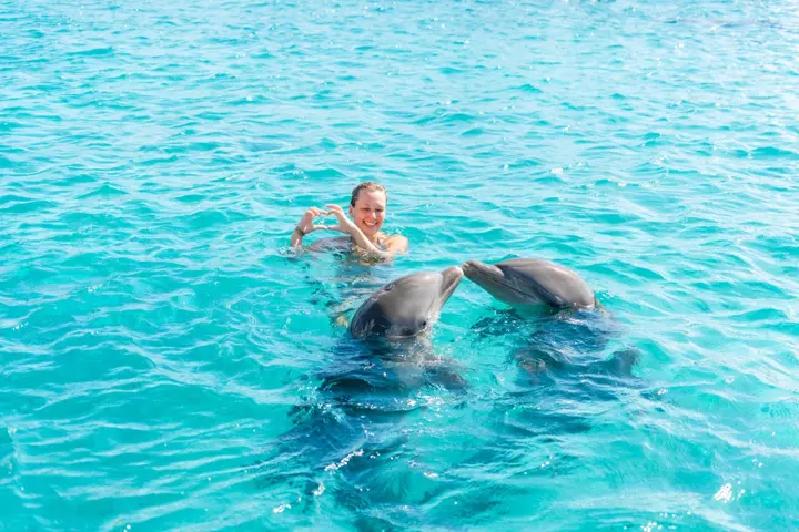 Dolphin Swim | Dolphin Academy Curacao